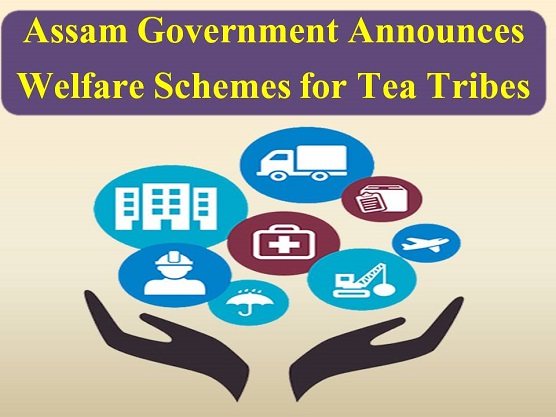 Assam Government Announces Welfare Schemes for Tea Tribes